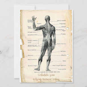 Anatomie Posterior Kaart