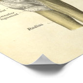 Anatomie Print Elbow Joint (Hoek)