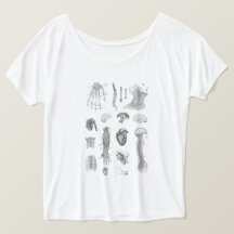 Anatomie Print