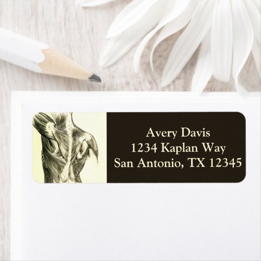  anatomie | Rugspieren (ongeveer 1852) Etiket (Insitu)