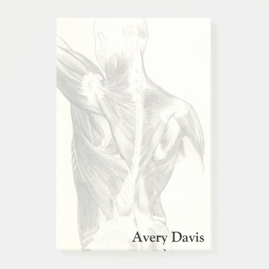 anatomie | Rugspieren (ongeveer 1852) Post-it® Notes (Voorkant)