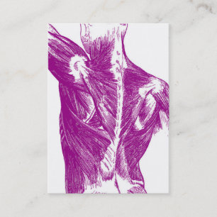 anatomie Rugspieren Paars Visitekaartje