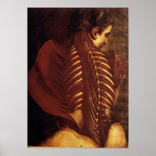 Anatomie/skelet van Vrouw RugPoster Poster