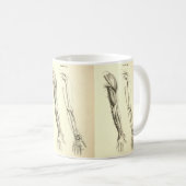  anatomie | Spier en Bot van de Arm Koffiemok (Voorkant rechts)