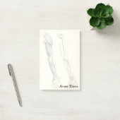 anatomie | Spier en Bot van de Arm Post-it® Notes (Kantoor)