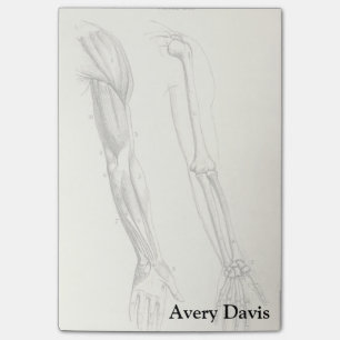 anatomie Spier en Bot van de Arm Post-it® Notes