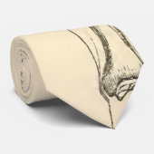  anatomie |   Spieren en Botten van de been Stropdas (Opgerold)