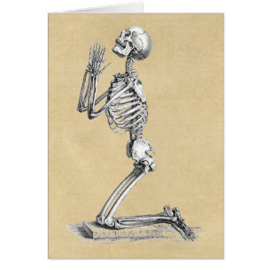 Anatomie Squelette Illustration Cartes de voeux