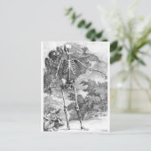 Anatomie van briefkaart van   van de  van de doden (Staand voorkant)