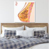 Anatomie van de borst van het Vrouw Canvas Afdruk (Insitu (Slaapkamer))