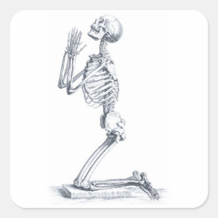 Anatomie van de Botten sticker