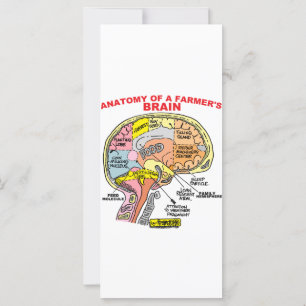 ANATOMIE VAN DE BRAIN VAN EEN LANDBOUW