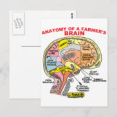 ANATOMIE VAN DE BRAIN VAN EEN LANDBOUW BRIEFKAART (Voorkant / Achterkant)