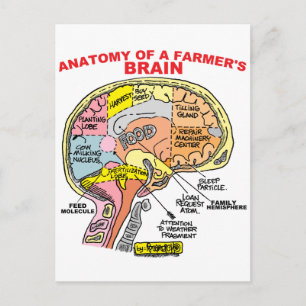 ANATOMIE VAN DE BRAIN VAN EEN LANDBOUW BRIEFKAART