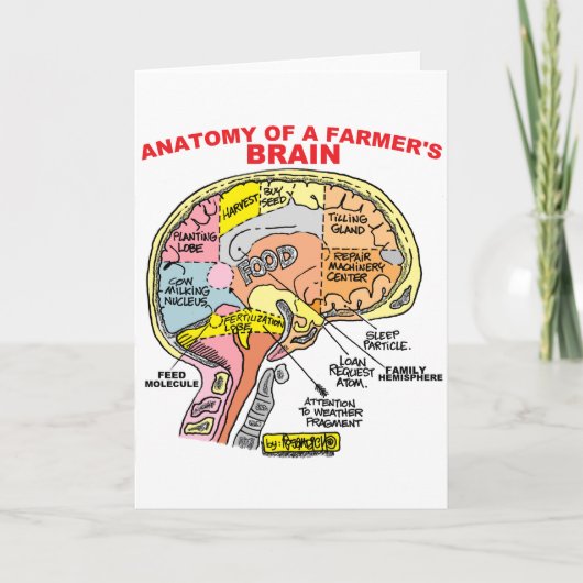 ANATOMIE VAN DE BRAIN VAN EEN LANDBOUW KAART (Voorkant)