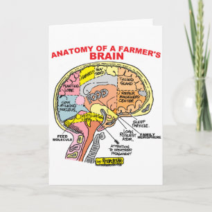 ANATOMIE VAN DE BRAIN VAN EEN LANDBOUW KAART