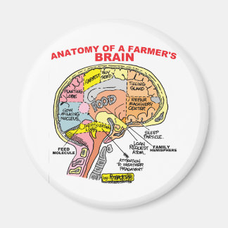 ANATOMIE VAN DE BRAIN VAN EEN LANDBOUW MAGNEET
