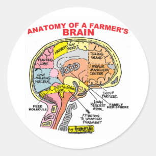 ANATOMIE VAN DE BRAIN VAN EEN LANDBOUW RONDE STICKER