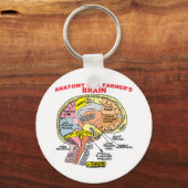 ANATOMIE VAN DE BRAIN VAN EEN LANDBOUW SLEUTELHANGER (Voorkant)