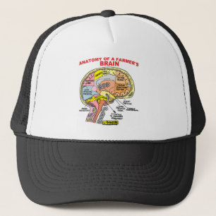 ANATOMIE VAN DE BRAIN VAN EEN LANDBOUW TRUCKER PET