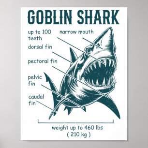 Anatomie van de Goblinhaai Mariene Bioloog Haai Poster