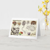 Anatomie van de Menselijke Hersenen Kaart (Gele Bloem)