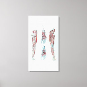 anatomie van de menselijke ledematen en het eten canvas afdruk