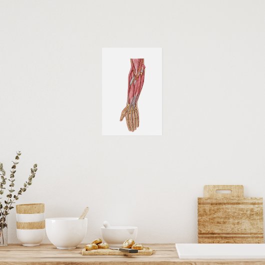 Anatomie van de menselijke moederspieren 1 poster (Keuken)