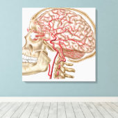 Anatomie van de menselijke schedel, oogbal en slag canvas afdruk (Insitu (Houten vloer))