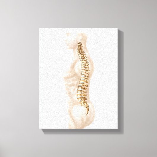 Anatomie van de menselijke wervelkolom, linker zij canvas afdruk (Voorkant)