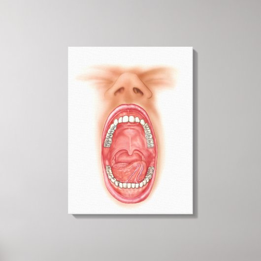 Anatomie van de mond van de mens canvas afdruk (Voorkant)