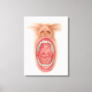 Anatomie van de mond van de mens canvas afdruk