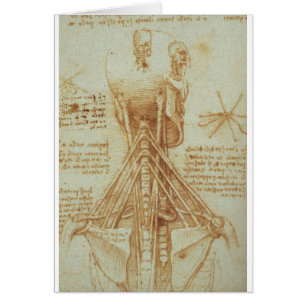 Anatomie van de nek door Leonardo Da Vinci c. 1515