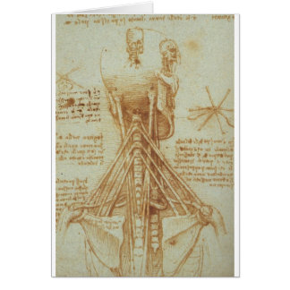 Anatomie van de nek door Leonardo Da Vinci c. 1515