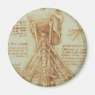 Anatomie van de nek magneet
