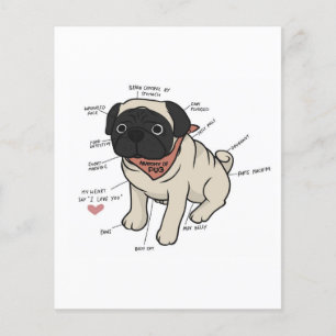 Anatomie van de Pug Dog Chart Flyer