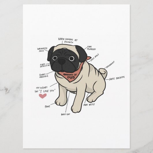 Anatomie van de Pug Dog Chart Menu (Voorkant)