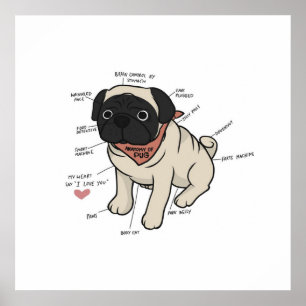 Anatomie van de Pug Dog Chart Poster