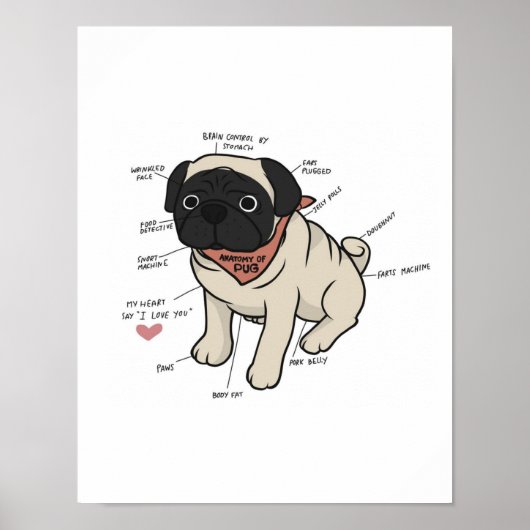 Anatomie van de Pug Dog Chart Poster (Voorkant)