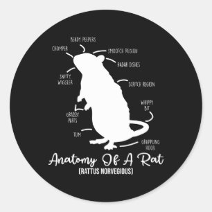 Anatomie van de rat voor alle rat en huisdier rat  ronde sticker