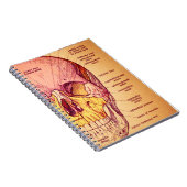 Anatomie van de schedel notitieboek (Rechterzijde)