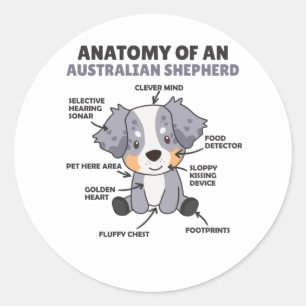 Anatomie van een Australische herder- en herderhaa Ronde Sticker