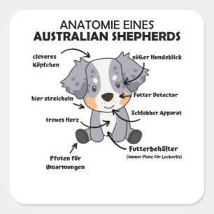 Anatomie van een Australische herder- en herderhaa Vierkante Sticker