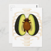 Anatomie van een Avocado Briefkaart (Voorkant / Achterkant)