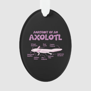 anatomie van een axolotl axolotls biologie science ornament