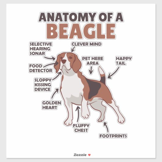 Anatomie van een beagle Cute Dogs Funny Dog Beagle Sticker (Vel)