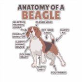 Anatomie van een beagle Cute Dogs Funny Dog Beagle Sticker (Voorkant)