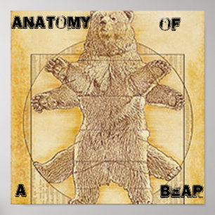 Anatomie van een Beer Poster
