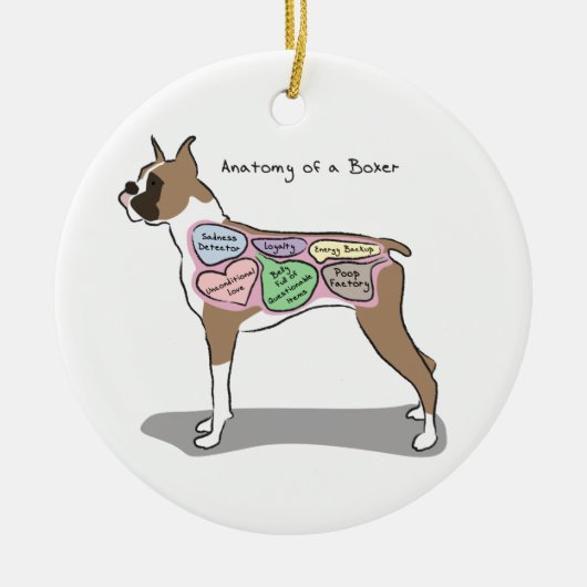 Anatomie van een Boxer Dog-cadeaus Keramisch Ornament (Voorkant)