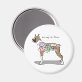 Anatomie van een Boxer Hond geschenken Magneet (Voorkant / Achterkant)